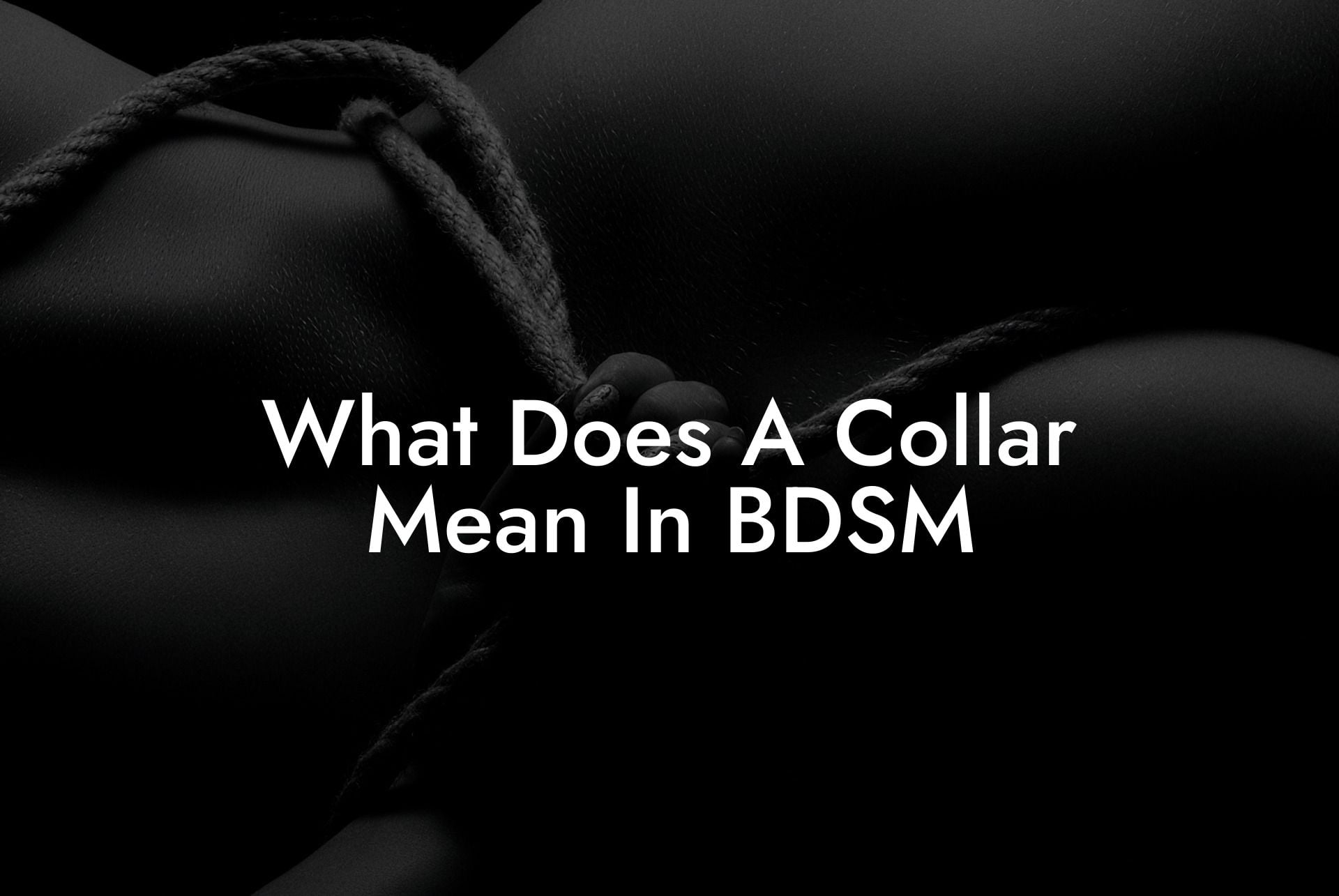 What Does A Collar Mean In BDSM