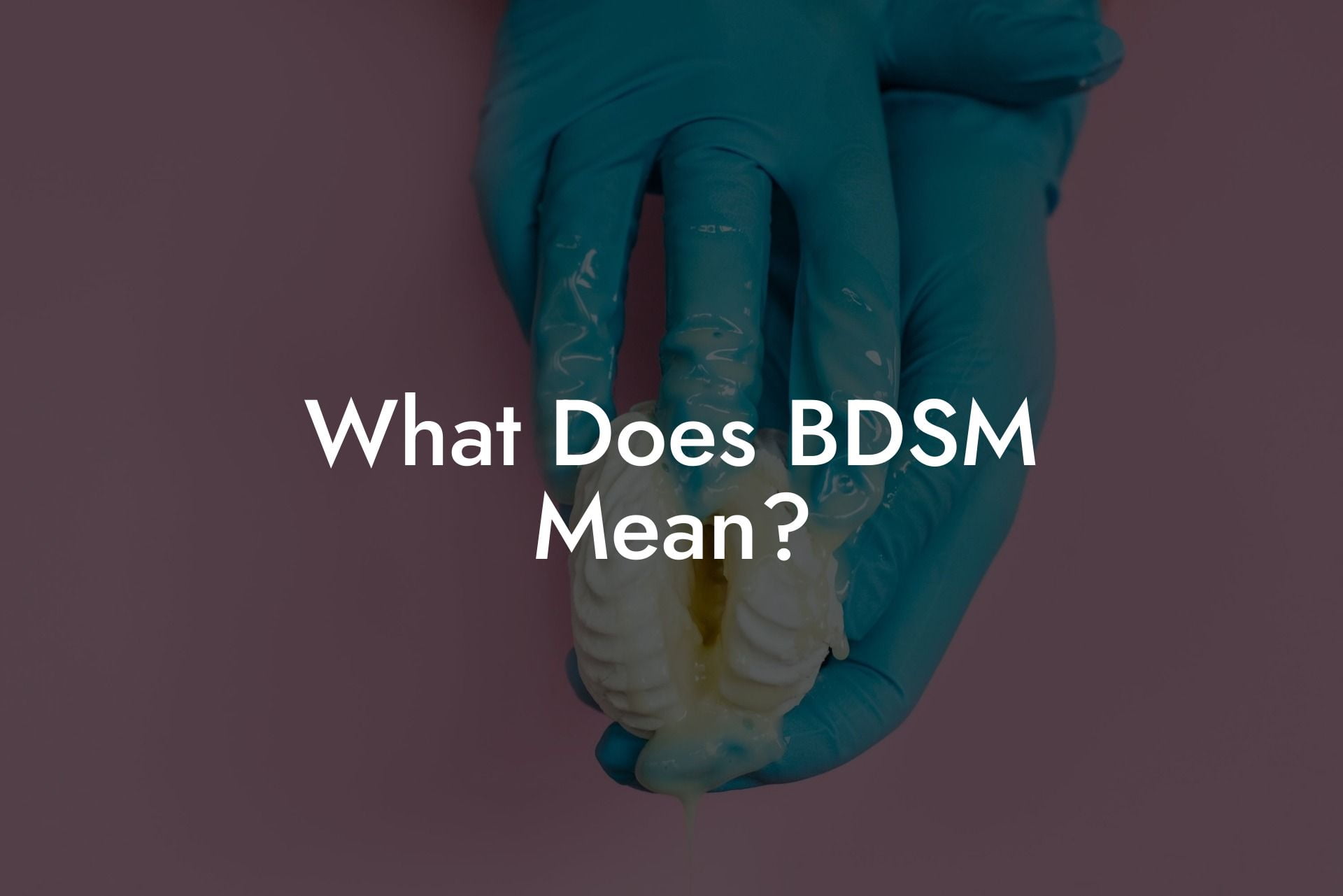 What Does BDSM Mean.