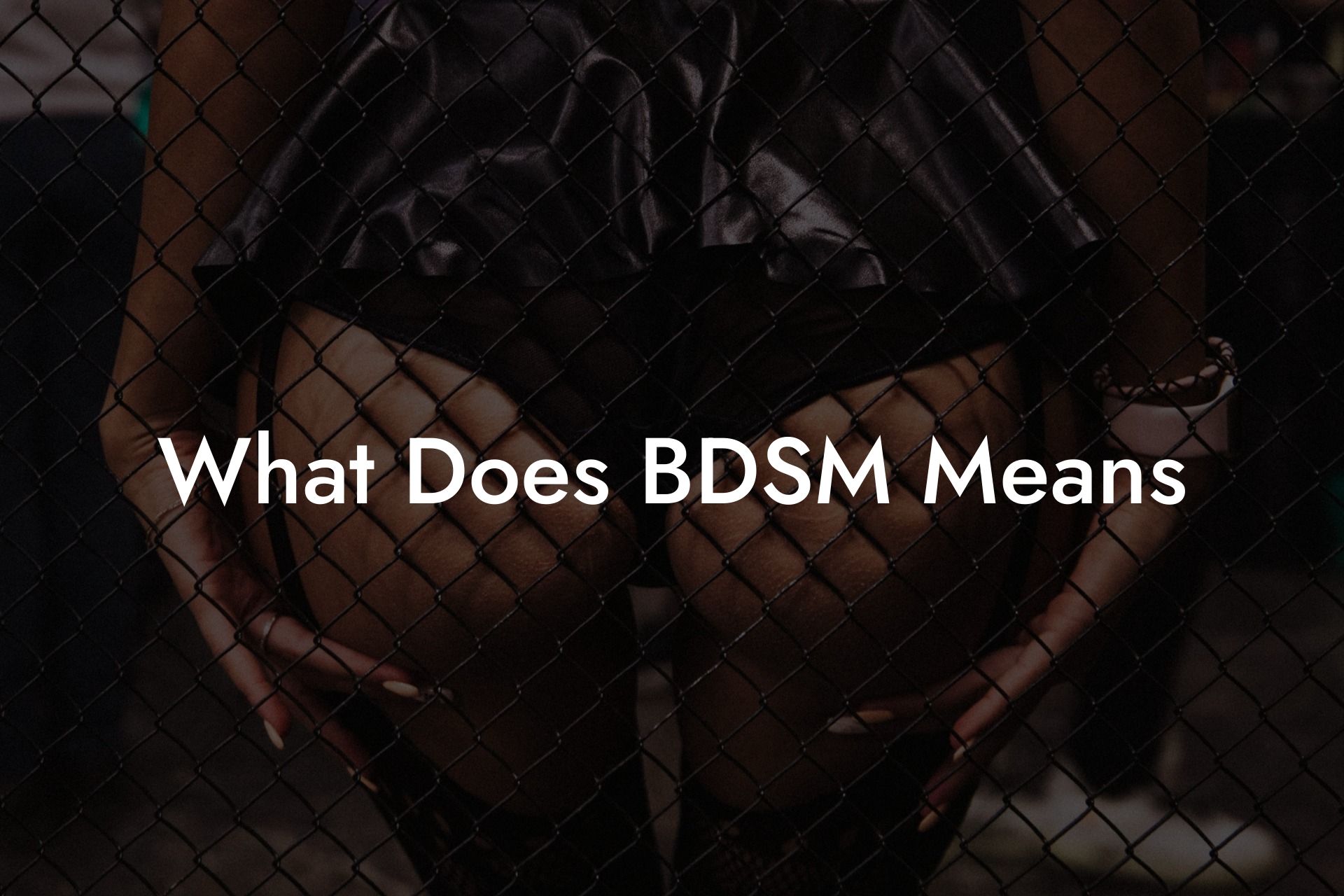 What Does BDSM Means