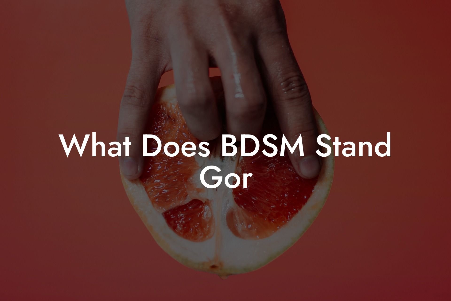 What Does BDSM Stand Gor