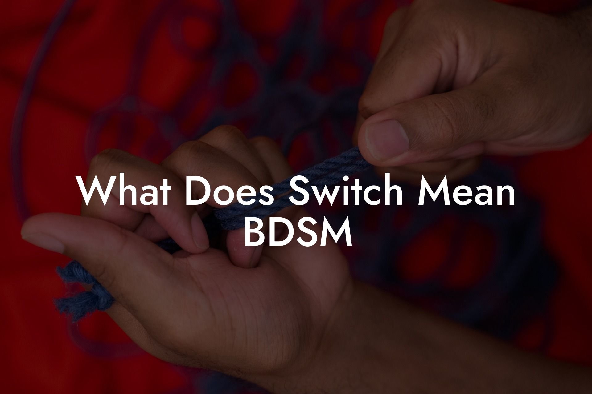 What Does Switch Mean BDSM