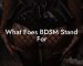 What Foes BDSM Stand For