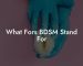 What Fors BDSM Stand For