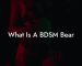 What Is A BDSM Bear