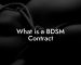 What is a BDSM Contract