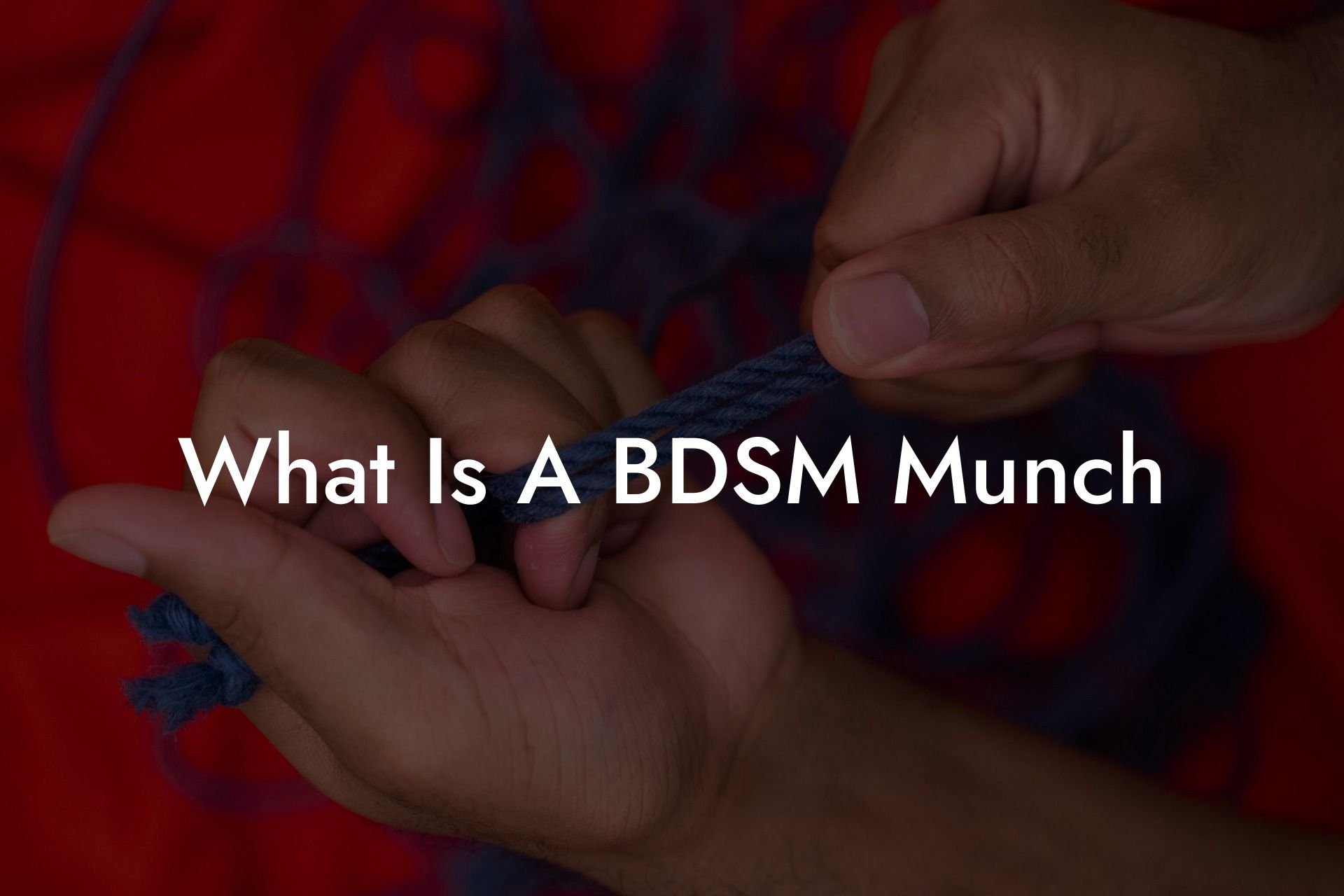 What Is A BDSM Munch
