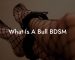 What Is A Bull BDSM