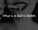 What Is A Bull In BDSM