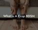 What Is A Crop BDSM