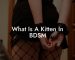 What Is A Kitten In BDSM