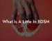What Is A Little In BDSM