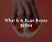 What Is A Rope Bunny BDSM