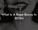 What Is A Rope Bunny In BDSM