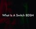 What Is A Switch BDSM