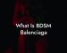 What Is BDSM Balenciaga