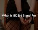 What Is BDSM Stand For