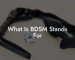 What Is BDSM Stands For