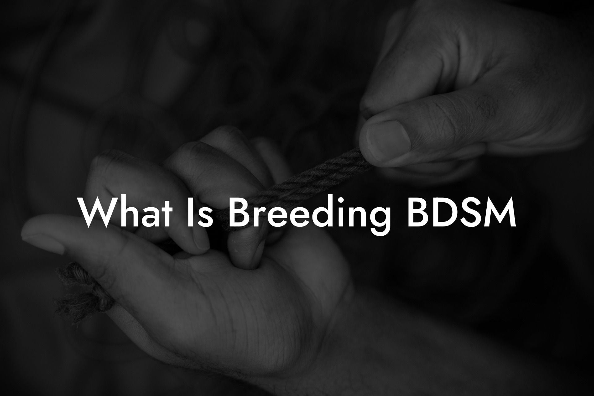 What Is Breeding BDSM