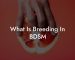 What Is Breeding In BDSM