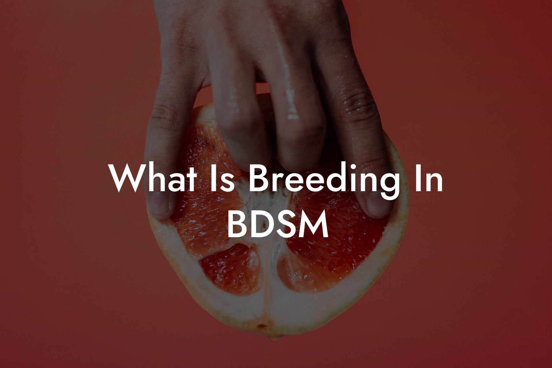 What Is Breeding In BDSM