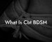 What Is Cbt BDSM