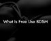 What Is Free Use BDSM