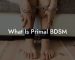What Is Primal BDSM