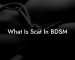 What Is Scat In BDSM