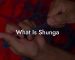 What Is Shunga