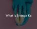 What Is Shunga Ka