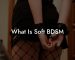 What Is Soft BDSM
