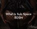 What Is Sub Space BDSM
