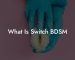What Is Switch BDSM