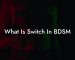 What Is Switch In BDSM