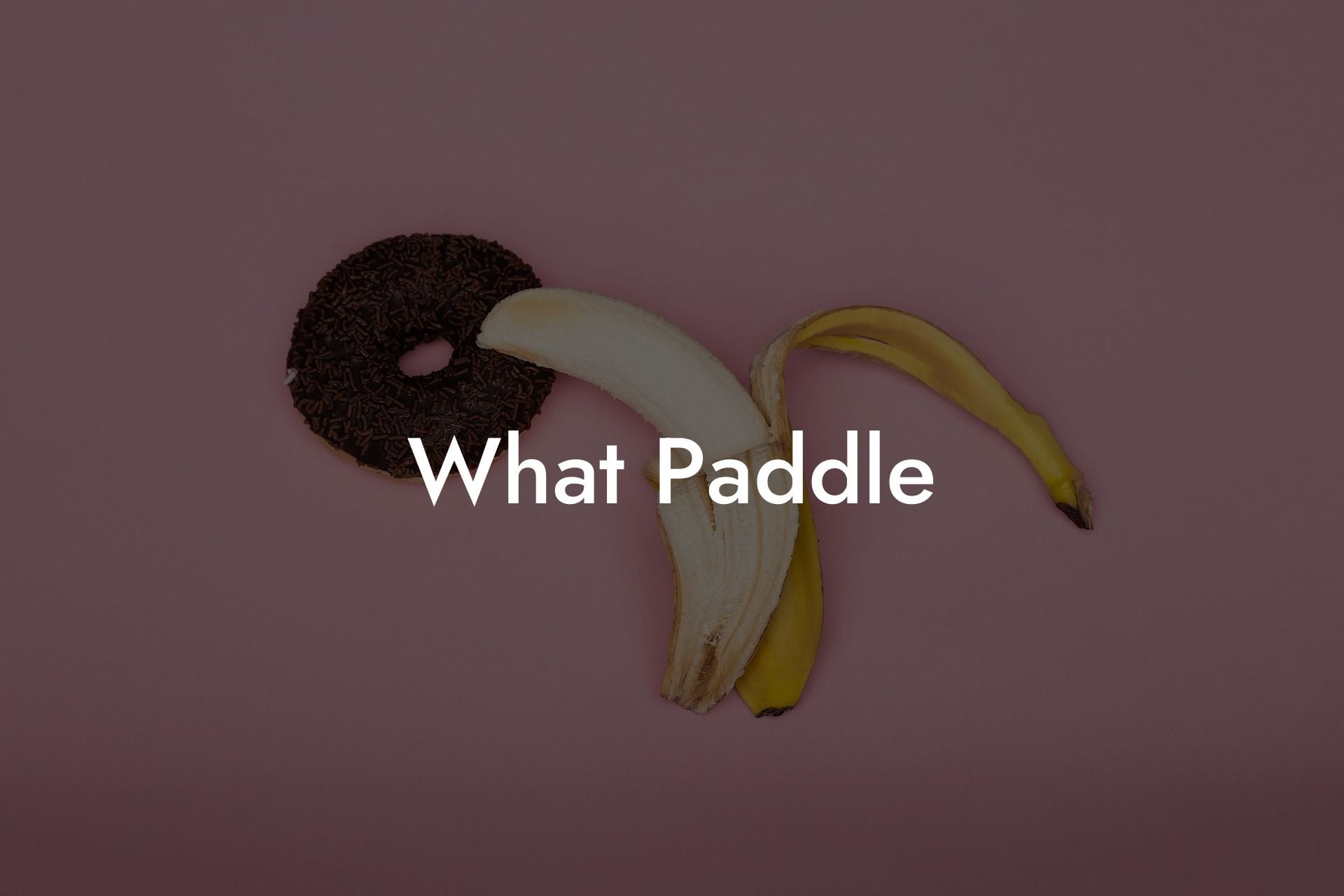 What Paddle
