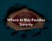 Where to Buy Paddles Sorority